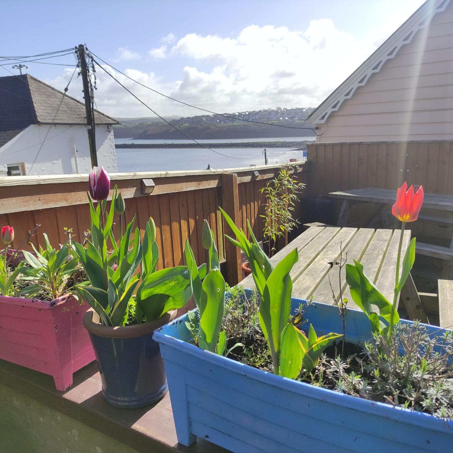 Rose And Crown Hotel & Hope And Anchor Bar Goodwick Esterno foto
