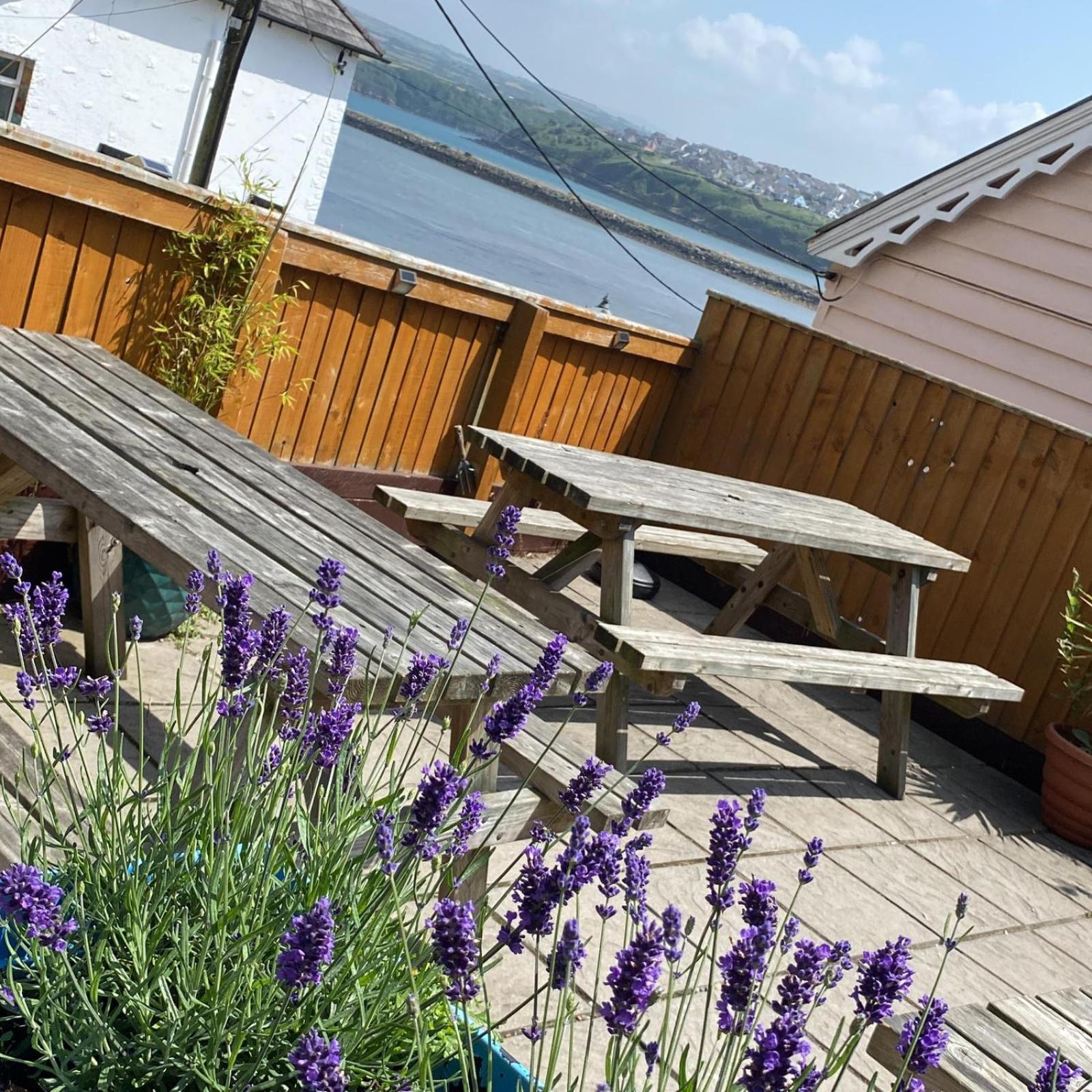Rose And Crown Hotel & Hope And Anchor Bar Goodwick Esterno foto